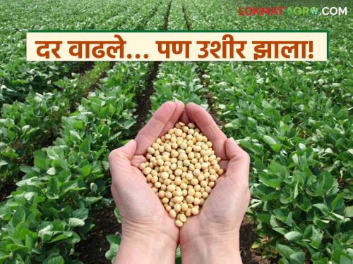 latest news Soybean Market: Prices stuck at 4,500 have now increased; Read the reason in detail | Soybean Market : ४,५०० वर अडकलेले भाव आता वाढले; काय आहे कारण वाचा सविस्तर