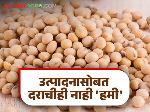 Soybean Market: Inflow is low and price is not guaranteed; Soybean producers will suffer this year | Soybean Market : आवक कमी त्यात दराचीही नाही हमी; सोयाबीन उत्पादकांचे यंदा हाल बेहाल