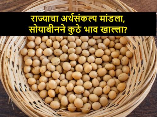 Interim budget Maharashtra: know today's Soybean market rates | अर्थसंकल्पाच्या दिवशी आज सोयाबीनला राज्यात कसा भाव मिळाला?