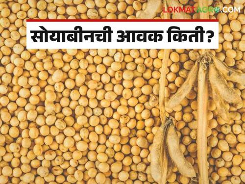 Soybean Bajar Bhav: Soybean arrival in the market committee of the state crossed 1 lakh quintals; Read in detail what is the rate | Soybean Bajar Bhav : राज्यातील बाजार समितीमध्ये सोयाबीनची आवक १ लाख क्विंटल पार ; काय मिळतोय दर ते वाचा सविस्तर