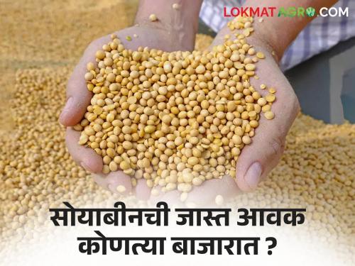 Soybean Bajar Bhav : The arrival of soybeans in the state has decreased; Read the price in detail | Soybean Bajar Bhav : राज्यात सोयाबीनची आवक झाली कमी; काय मिळाला भाव ते वाचा सविस्तर