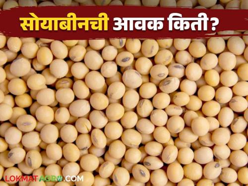 Soybean Bajar Bhav : soybeans is increasing in Latur market | Soybean Bajar Bhav : लातुरच्या बाजारात सोयाबीनची आवक वाढतेय; काय मिळाला भाव ते वाचा सविस्तर