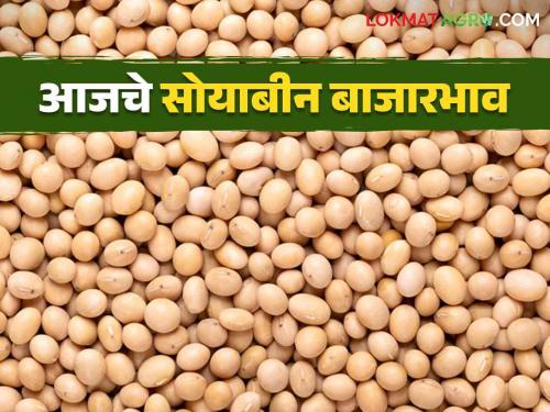 Soybean Bajar Bhav: | Soybean Bajar Bhav : सोयाबीनची आवक लाख क्विंटल पार; हा मिळतोय दर ते वाचा सविस्तर