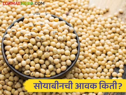 Soybean Bajar Bhav: Today, the arrival of soybeans crossed 80 thousand quintals; Read in detail what the price is getting | Soybean Bajar Bhav : आज सोयाबीनची आवक ८० हजार क्विंटल पार; काय मिळतोय भाव ते वाचा सविस्तर