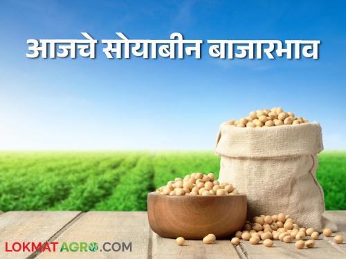 Latest News Todays Soyabean bajarbhav in nagpur, lasalgaon and latur market yard check here | Soyabean Bajarbhav : पिवळ्या आणि पांढऱ्या सोयाबीनला काय भाव मिळाला? वाचा आजचे बाजारभाव