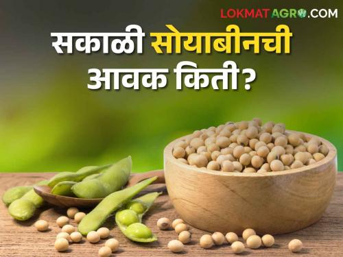 latest News Highest price of soybeans in Bhokardan market in morning, read in detail | Soybean Bajarbhav : भोकरदन बाजारात सकाळी सोयाबीनला सर्वाधिक भाव, वाचा सविस्तर