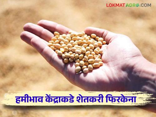 How many days does it take for soybeans purchased at the msp center to be credited to the account? | हमीभाव केंद्रावर खरेदी केलेल्या सोयाबीनचे पैसे खात्यावर किती दिवसात जमा होतात