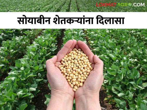 Good News for Soybean Farmers : Approval to start Soybean Buying Center with Minimum Support Price MSPfor 90 days | सोयाबीन शेतकऱ्यांसाठी गुडन्यूज : ९० दिवसांसाठी हमीभावाने सोयाबीन खरेदी केंद्र सुरू करण्यास मान्यता