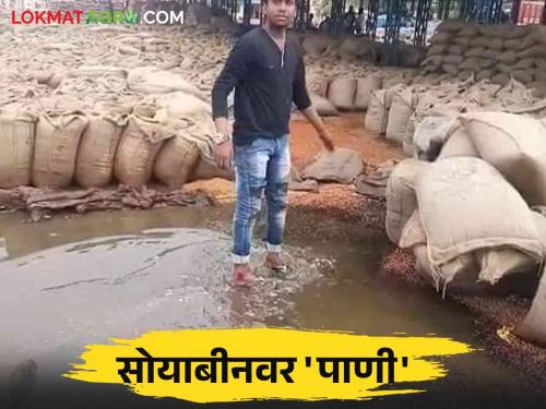 Soybean committee: Farmers and traders in market committee rain in soybean | Soybean committee : पावसाने बाजार समितीत व्यापाऱ्यांसह शेतकऱ्यांची तारांबळ; ताडपत्र्यांची जुळवाजुळव