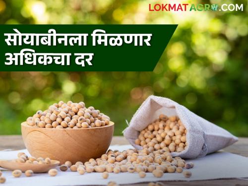 Soybean Hamibhav: This year's guaranteed price for soybeans increased by Rs. Read the detailed rate given by the government | Soybean Hamibhav : सोयाबीनसाठी यंदाचा हमीभाव इतक्या रुपयांनी अधिक; शासनाने काय दिला दर ते वाचा सविस्तर