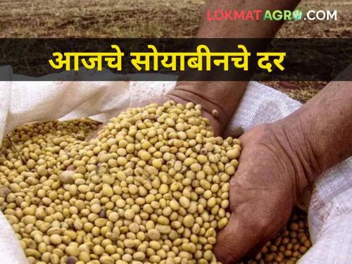 maharashtra agriculture farmer producer soybean market yard rates | जाणून घ्या सोयाबीनचे आजचे दर