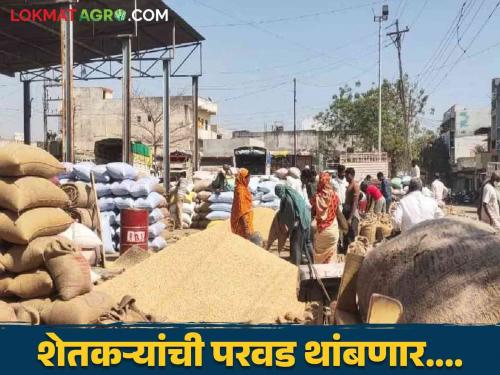 Soybean Nafed Center : Farmers! Taking soybeans for sale, check the SMS once and then go to the market  | Soybean Nafed Center : शेतकऱ्यांनो ! सोयाबीन विक्रीसाठी नेताय एकदा एसएमएस चेक करा अन् मग जा बाजारात 