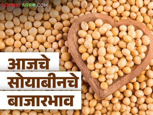 Soybean Market Update: Soybean received highest in Sillod market; Read in detail what 'Bhav' got | Soybean Market Update : सोयाबीनची सर्वाधिक आवक सिल्लोड बाजारात झाली; काय 'भाव' मिळाला ते वाचा सविस्तर