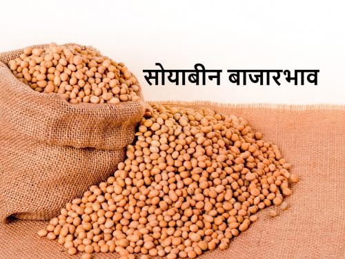 in which market soyabean price are higher than msp | आज सोयाबीनला हमीभावापेक्षा जास्त दर कुठे मिळाला? असे आहेत सोयाबीन बाजारभाव