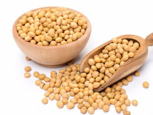 Soybean price in Nashik district is 5000; A tone of displeasure due to decline | नाशिक जिल्ह्यात सोयाबीनला भाव पाच हजार; घसरणीमुळे नाराजीचा सूर