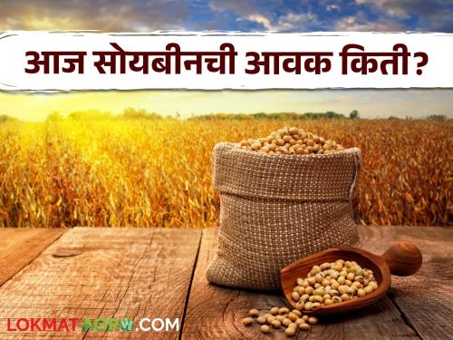 Latest News 11 june 2024 todays soybean bajarbhav in market yards check here details | Soybean Bajarbhav : साक्री बाजारात पिवळ्या सोयाबीनला हमीभाव मिळाला, वाचा आजचे बाजारभाव