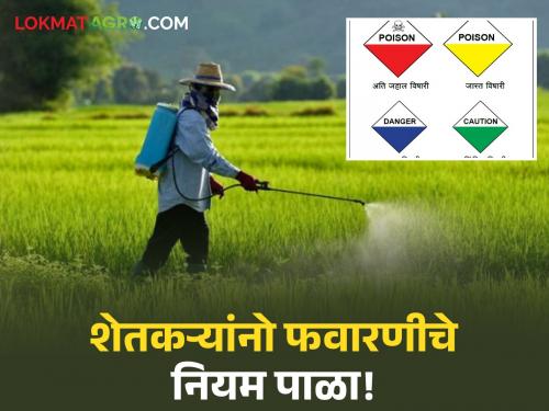 latest news Spraying Protection: A small mistake while spraying will cause big damage; Read safety measures | Spraying Protection : फवारणी करताना छोटी चूक, मोठं नुकसान करेल; वाचा सुरक्षिततेचे उपाय