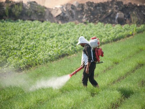 Poisoning during pesticide spraying, symptoms and first aid | किडनाशके फवारणी दरम्यान झालेली विषबाधा, लक्षणे आणि प्रथमोपचार