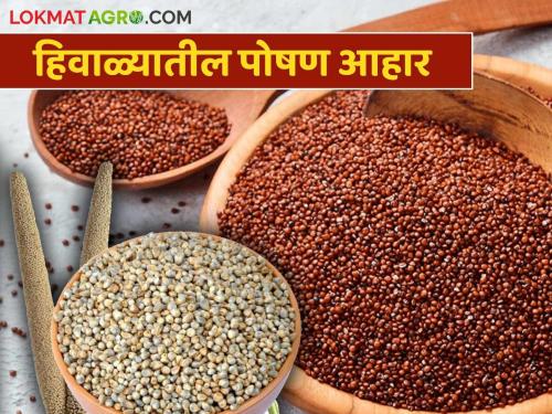 Winter food: Pulses are beneficial for health in winter | Winter food : हिव्याळ्यात कडधान्य आरोग्यासाठी लाभदायक