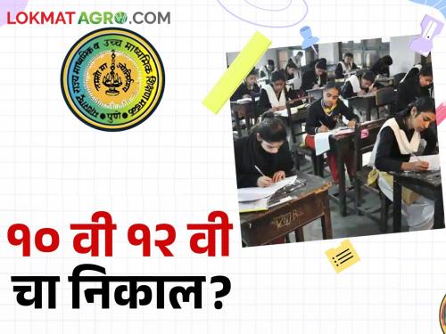 Papers checked; When will the 10th and 12th results be released? | SSC HSC Result पेपर चेक झाले; दहावी, बारावीचा निकाल कधी लागणार