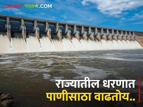 Latest News Bhandardara, discharge from Nilwande dam, how much water ujni, koyana, gangapur dam see details | Maharashtra Dam Storage : भंडारदरा, निळवंडे धरणातून विसर्ग, कुठल्या धरणात किती पाणी आलं? 