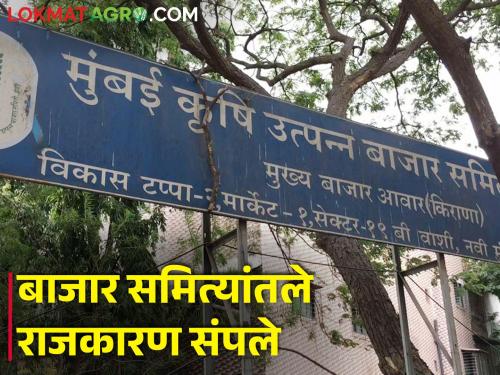 Expulsion of Elections from agriculture produce market committees; Now it is dominated by the state government | कृषि उत्पन्न बाजार समित्यांतून निवडणुका हद्दपार; आता यावर राज्य सरकारचे वर्चस्व