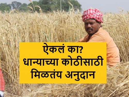 Subsidy for grain storage sheds; Did you apply? | शेतकरी बांधवांनो, धान्याच्या घरगुती कोठीसाठी अनुदान मिळतेय, असा घ्या लाभ