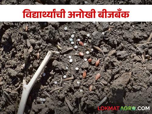 Latest news Bhargava raut of Gondia saved thousands of seeds by seedball method | Seed Bank : गोंदियाच्या भार्गवची अनोखी बीजबँक, सीडबॉल पद्धतीतुन हजारो बियाण्यांचे जतन