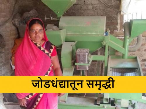 How Dalmil changed the life of Shantabai of Waknathpur? | वाकनाथपूरच्या शांताबाईंचे आयुष्य डाळमिलने कसे बदलले?