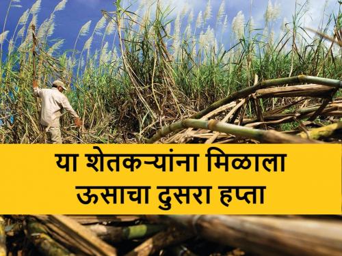 sugar cane crushing: this sugar mill deposited instalment to farmers | Sugarcane: या कारखान्याकडून ऊस उत्पादकांच्या खात्यावर दुसऱ्या हप्त्याचे ८.४५ कोटी जमा