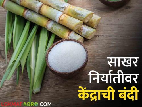 The next 10 years development plan of the sugar industry will be given to the central government | Sugar Industry साखर उद्योगाचा पुढील १० वर्षांचा विकास आराखडा केंद्र सरकारला देणार