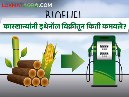 Total production of 1380 crore liters of ethanol in the country | देशात एकूण १३८० कोटी लिटर इथेनॉलची निर्मिती