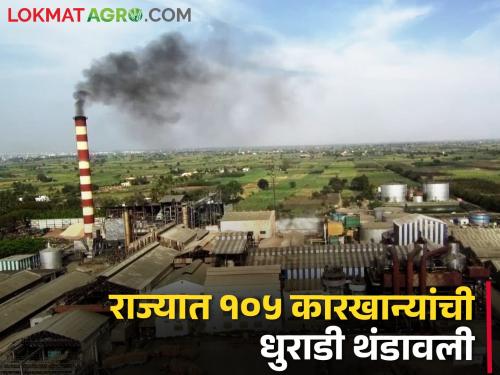 Strong performance of sugar mills in the state even during drought; So far 10 crore metric ton of sugarcane crushing | दुष्काळातही राज्यातील साखर कारखान्यांची जोरदार कामगिरी; आतापर्यंत १० कोटी मेट्रिक टन गाळप