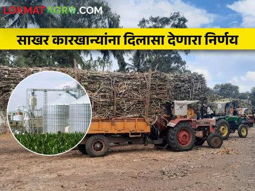 'Those' sugar mills will get relief, what is the government's decision | 'त्या' साखर कारखान्यांना मिळणार दिलासा, काय आहे शासन निर्णय