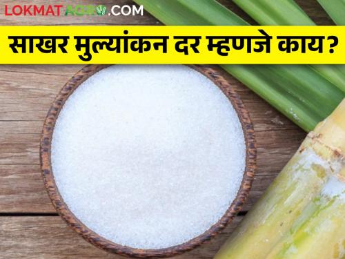 How are Sugar Mortgage Loans given to Sugar Factories? | साखर कारखान्यांना साखर माल तारण कर्ज कसे दिले जाते?