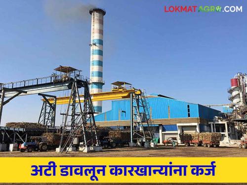 Loan for Sugar factory : Loans will be given to sugar factories by waiving the conditions of finance department | Loan for Sugar factory : वित्त विभागाच्या अटी डावलून साखर कारखान्यांना कर्ज देणार