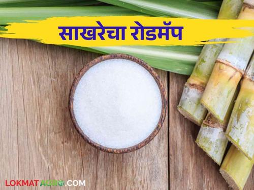 Roadmap prepared by Sugar Federation for the growth of sugar industry | साखर उद्योगाच्या वाढीसाठी साखर महासंघाने तयार केला रोडमॅप