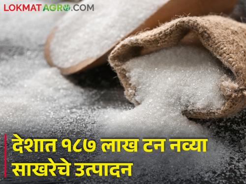 Maharashtra tops the country by producing 65 lakh tonnes of sugar by crushing 676 lakh tonnes of sugarcane | ६७६ लाख टनाचे ऊस गाळप करून ६५ लाख टन साखरेचे उत्पादन घेत महाराष्ट्र देशात अव्वल