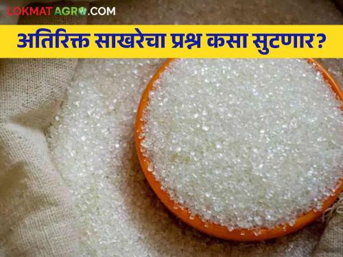 In the new sugar control order, except for sugar, emphasis is placed on the by-products of the sugar factories | नव्या साखर नियंत्रण आदेशात साखर सोडून कारखान्यांच्या उपपदार्थांवरच भर