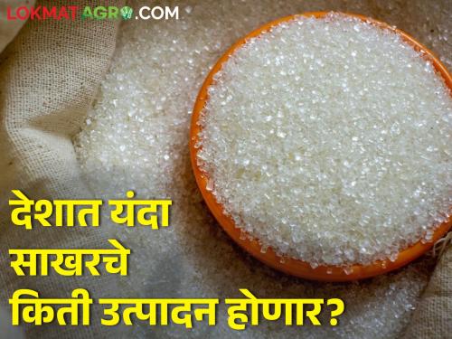 The production of sugar in the country is likely to decrease this year; But why? | देशात यंदा साखरचे उत्पादन कमी होण्याची शक्यता; पण कशामुळे?