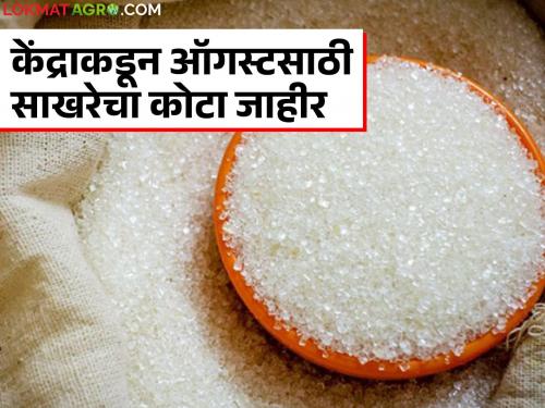 Sugar Quota : 90 lakh tonnes of sugar left in the country; How many lakh tonnes of sugar quota for August? | Sugar Quota : देशात ९० लाख टन साखर शिल्लक; ऑगस्टसाठी किती टन साखरेचा कोटा?