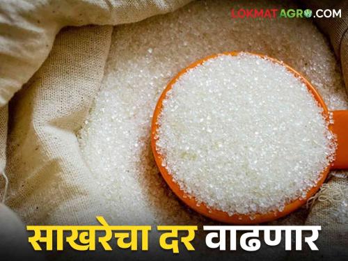 The minimum selling price of sugar will be increased soon | साखरेचा किमान विक्री दर वाढणार लवकरच निर्णय