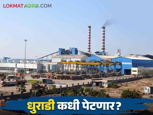 Waiting for sugarcane factories to start in the state How much will the first installment of sugarcane get? | राज्यातील कारखाने सुरू होण्याची प्रतीक्षा, किती मिळेल उसाचा पहिला हप्ता