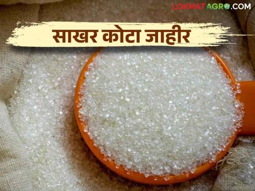 Sugar Price in India : September Sugar Quota announced by the Central Government read in detail | Sugar Price in India : केंद्राकडून सप्टेंबरचा साखर कोटा जाहीर.. कसा राहील दर