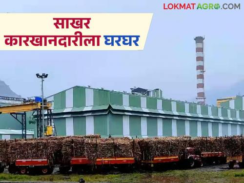 Why are farmers not getting their sugarcane bills? What are the problems faced by the manufacturers? Read in detail | शेतकऱ्यांच्या उसाची बिले का मिळत नाहीत? काय आहेत कारखानदारांच्या अडचणी? वाचा सविस्तर