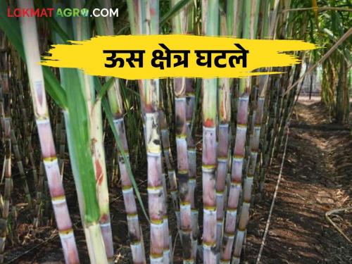 This year, factories offering low rates will remain closed due to lack of sugarcane | यंदा दर कमी देणारे कारखाने उसाअभावी राहणार बंद