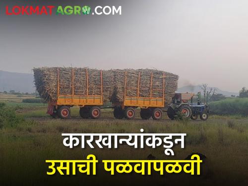 obstacle to procure sugarcane for sugarcane factories; promises of Higher prices, direct kata payment | कारखान्यांची ऊस मिळविण्यासाठी दमछाक; जास्त भाव, थेट काटा पेमेंट देण्याची आश्वासने