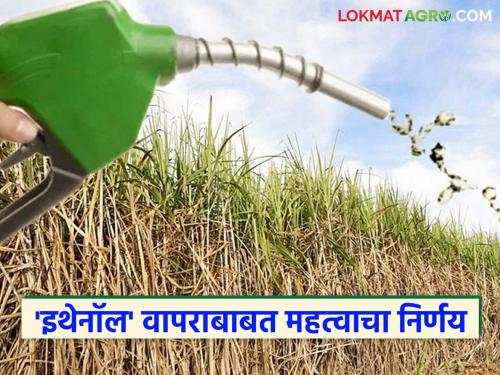 Supreme Court dismisses 'that' petition regarding ethanol; relief for 5 crore sugarcane farmers | इथेनॉल संबंधी 'ती' याचिका सर्वोच्च न्यायालयाने फेटाळली; ५ कोटी ऊस उत्पादक शेतकऱ्यांना दिलासा