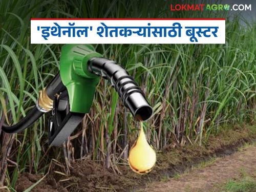 Sugarcane Ethanol : Blending ethanol in petrol will be a booster for sugarcane farmers | Sugarcane Ethanol : पेट्रोलमध्ये इथेनॉल मिश्रण ऊस उत्पादक शेतकऱ्यांसाठी ठरणार बूस्टर