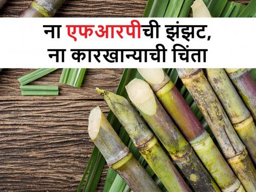 Sugarcane Export : The sweet sugarcane of Pargaon will be a delicacy in Gulf countries | Sugarcane Export: पारगावच्या मधुर ऊसाची थेट आखाती देशांमध्ये निर्यात